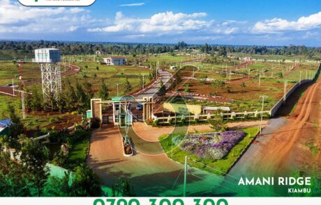 Optiven's Special Valentine’s Offer Unveiled at Amani Ridge Garden