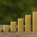 Gold:The Business Behind The Bars