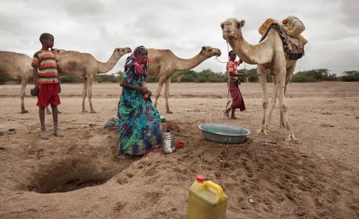 UNICEF Chief calls for urgent global support as children in Somalia face worsening malnutrition